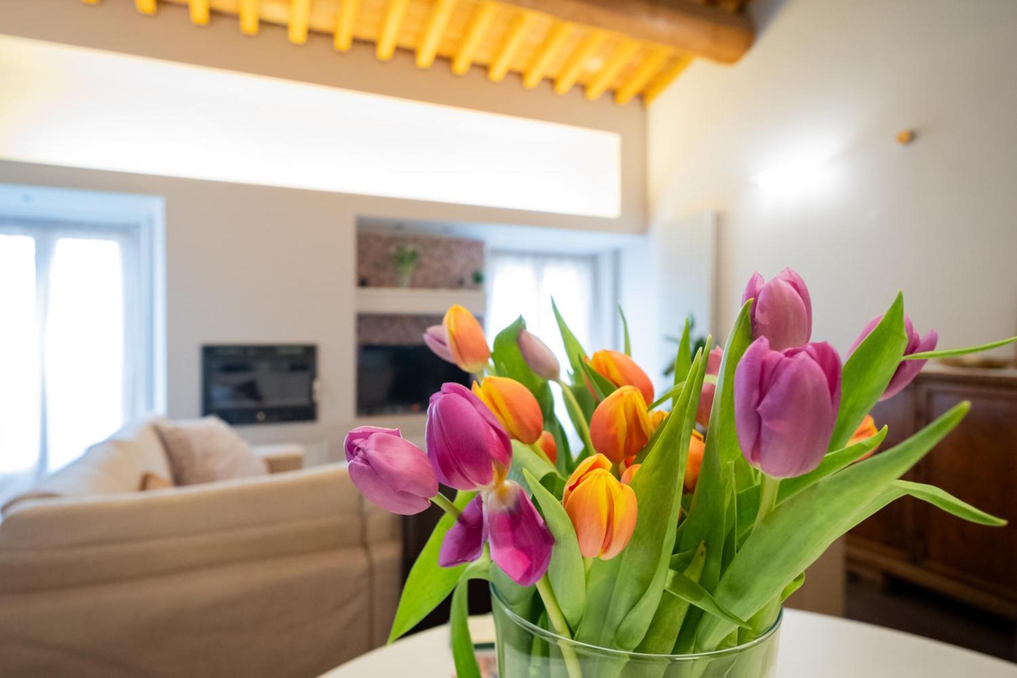 Appartamento Stella - Verona Centro Dış mekan fotoğraf
