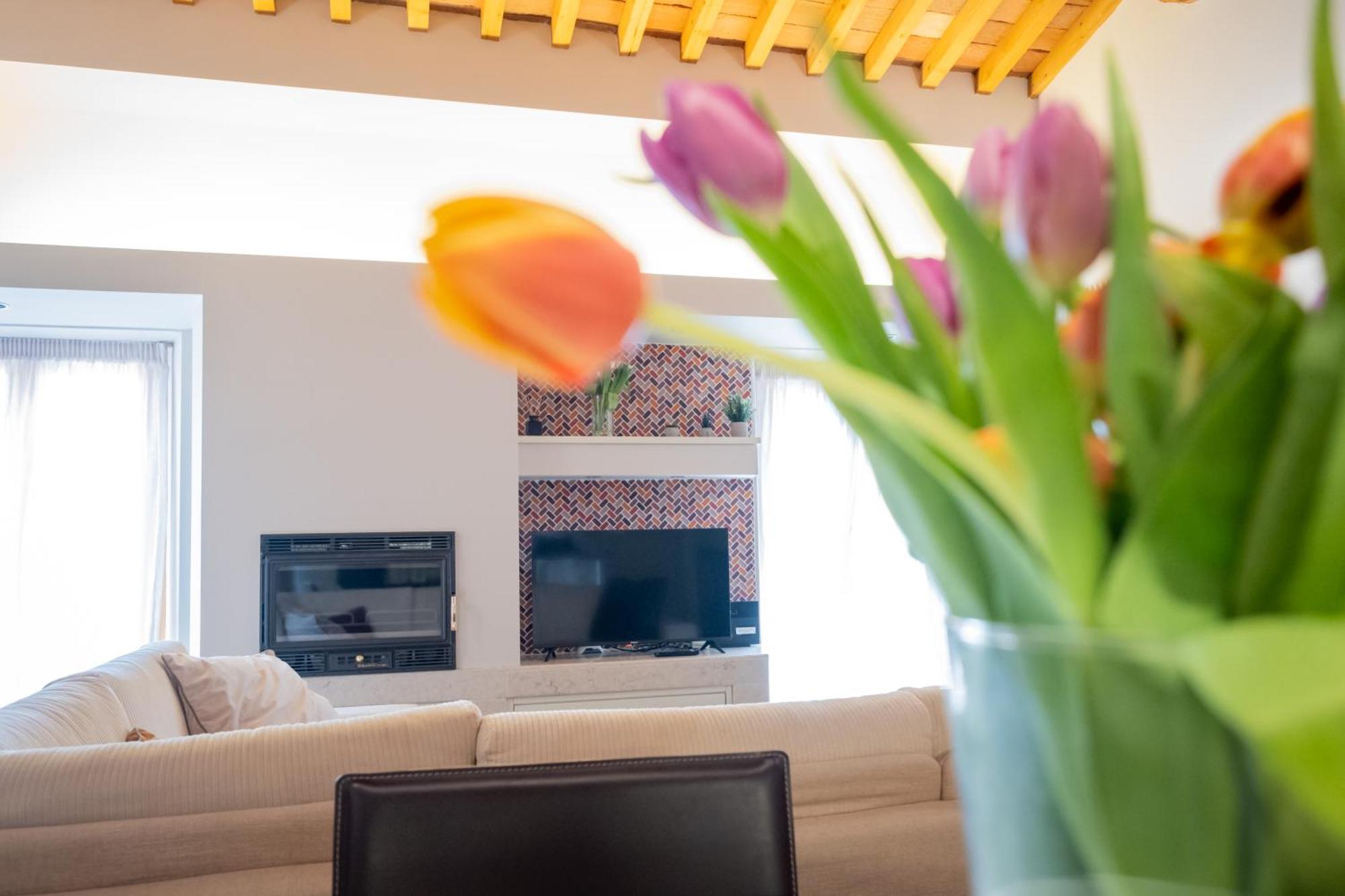 Appartamento Stella - Verona Centro Dış mekan fotoğraf